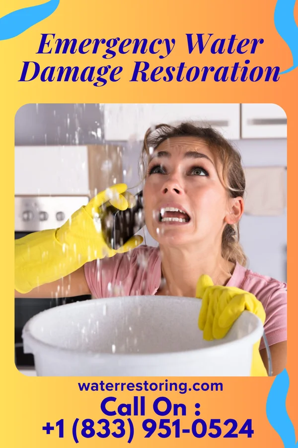 Emergency Water Damage Restoration in Alamosa, CO