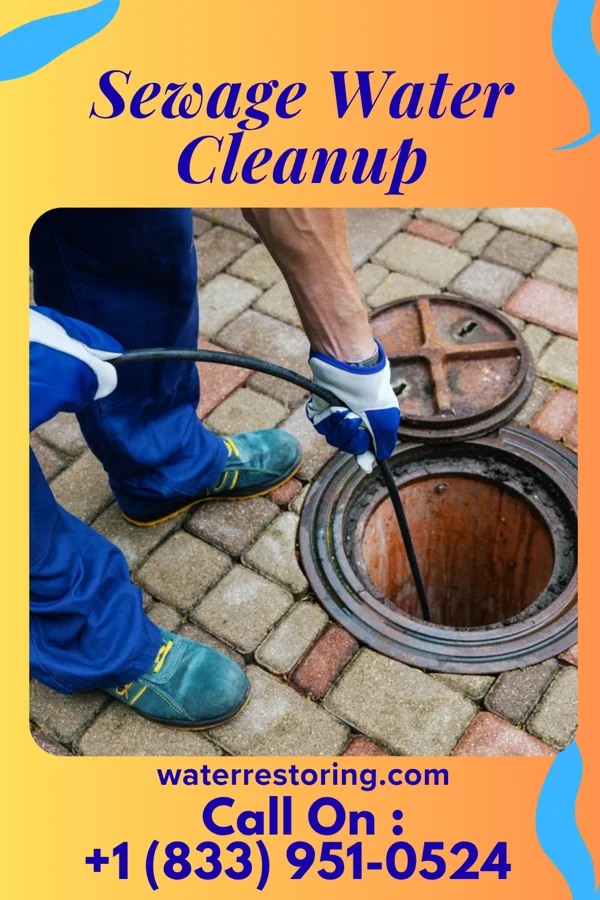 Sewage Water Cleanup in Alamosa, CO